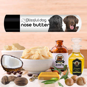 Flat-Coated Retriever pet