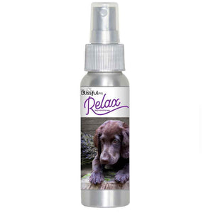 flat-coated retriever anxiety