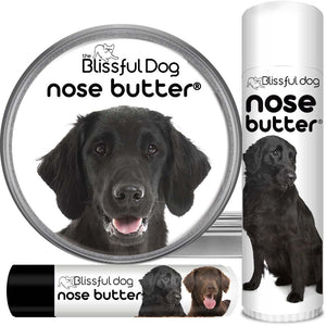 what is wrong with Flat-Coated Retriever Nose