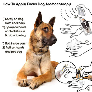 Using Belgian Malinois Focus Dog Aromatherapy