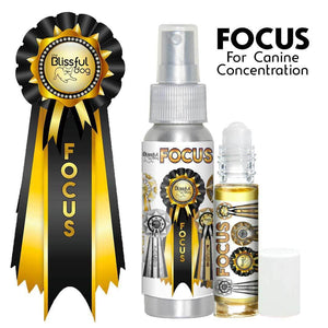 Show Me! Focus Dog Aromatherapy