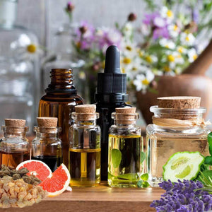 Show Me! Focus Dog Aromatherapy