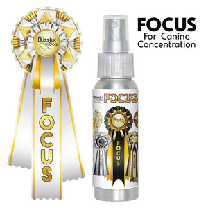 Show Me! Focus Dog Aromatherapy