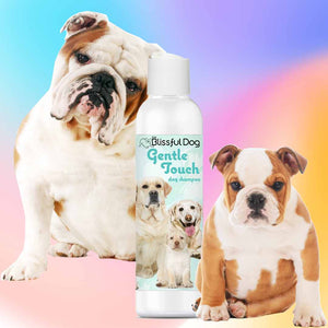 bulldog puppy shampoo