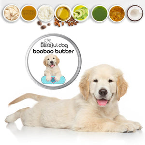 Golden Retriever Custom Combo