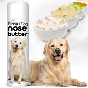Golden Retriever Nose chapped