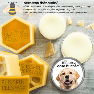 Golden Retriever Nose balm