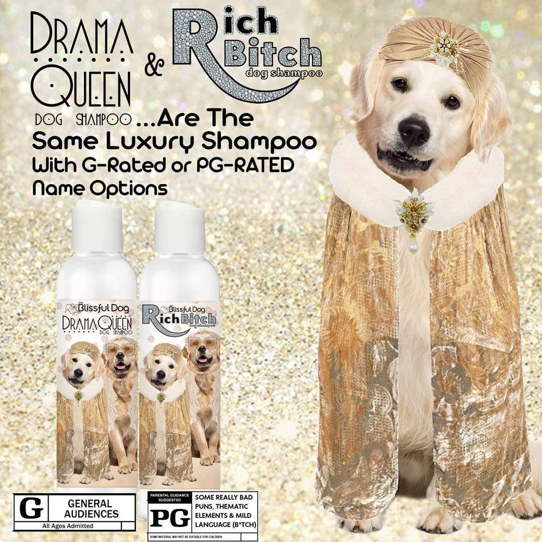 Golden Retriever dog shampoo