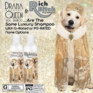 Golden Retriever drama queen dog