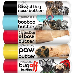 great dane skin care