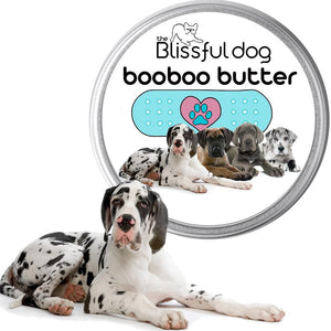 great dane skin balm