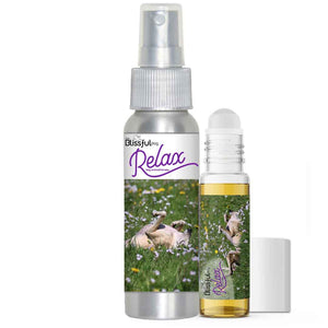 Greyhounddog aromatherapy