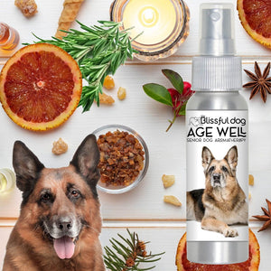 german shepherd senior aromatherapy