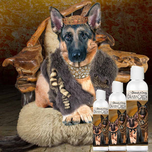 German Shepherd drama queen shampoo