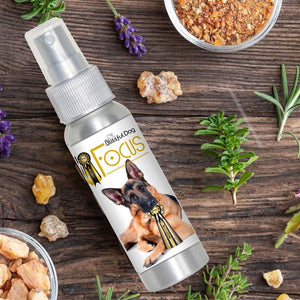german shepherd focus essential oils