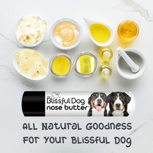 Greater Swiss Mountain Dog has chapped Nose