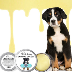 greater swiss mountain dog itchy skin