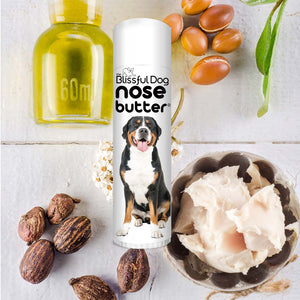 Greater Swiss Mountain Dog Nose is chapped