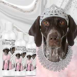 German Shorthair shampoo