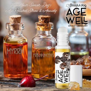 german shorthair pointer senior aromatherapy