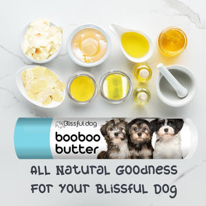 Havanese Tube Combo