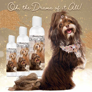 Havanese shampoo