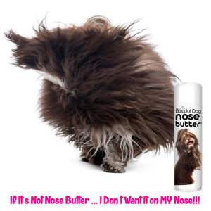 Dry Havanese Nose