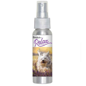 Havanese calming