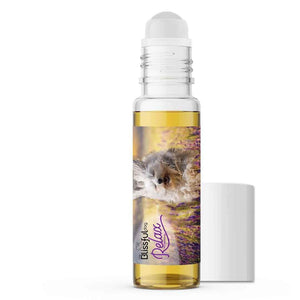 Havanese care