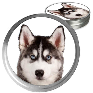 Siberian Husky Custom Combo