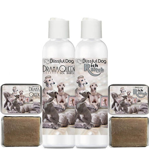 Italian Greyhound shampoo