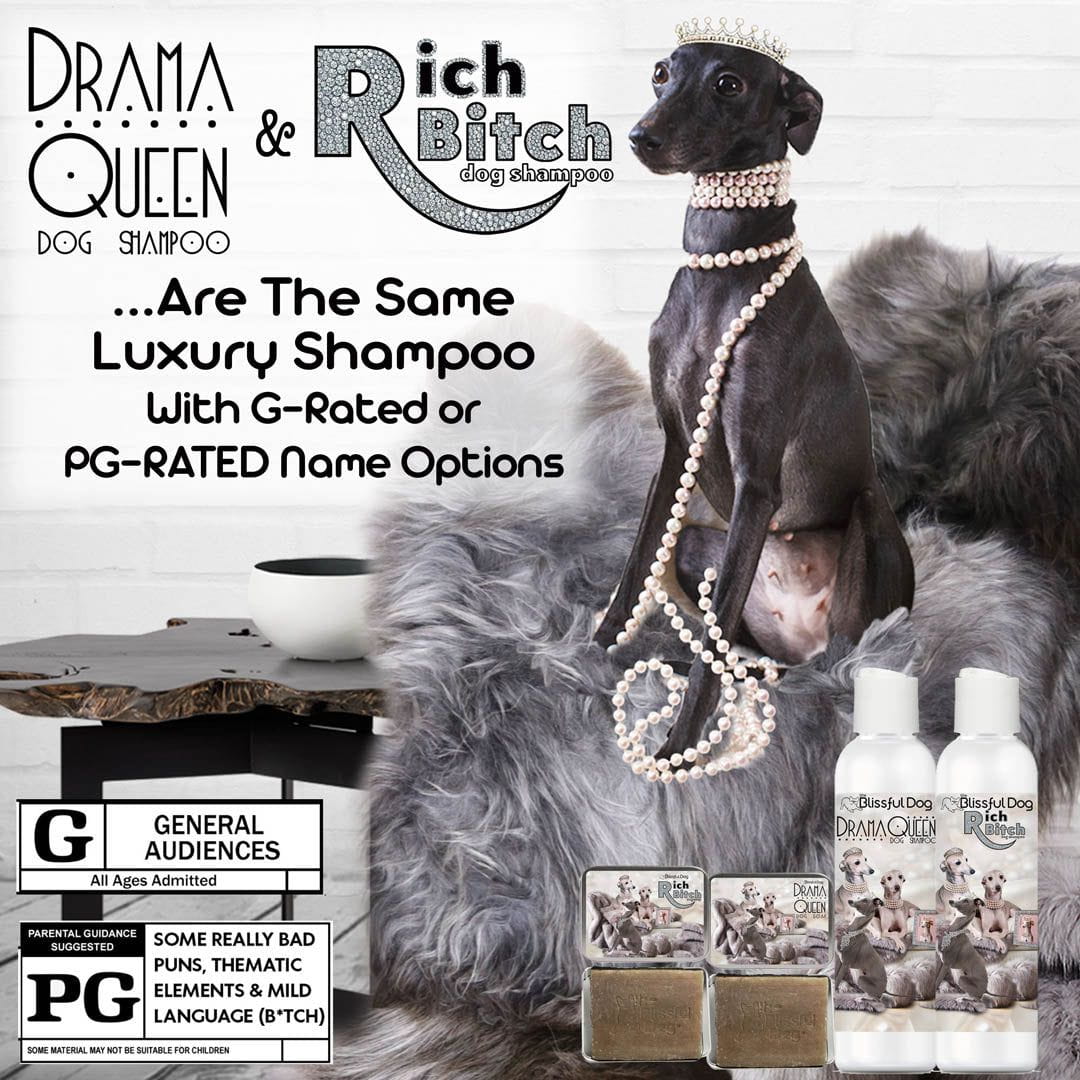 Italian Greyhound shampoo 