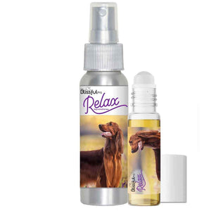 Irish Setter aromatherapy