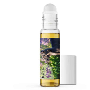 italian greyhound aromathery for dogs