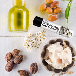 Italian Greyhound nose moisturizer