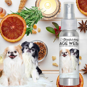 japanese chin senior aromatherapy