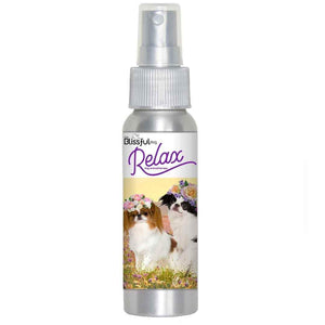 japanese chin relax dog aromatherapy