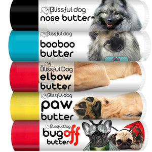 keeshond skin care