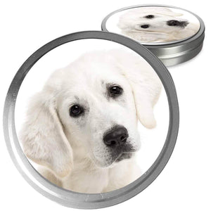Kuvasz Custom Combo