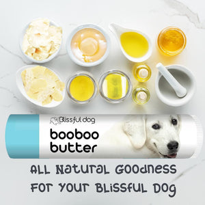 kuvasz dog care