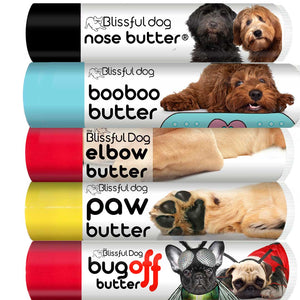 Labradoodle skin care