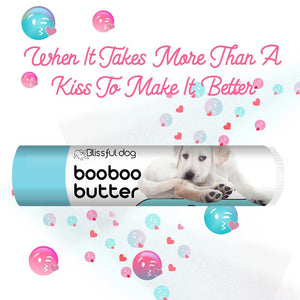 labrador retriever scratchesx