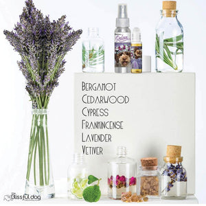 Lagotto Romagnola natural care