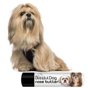lhasa apso moisturizer nose