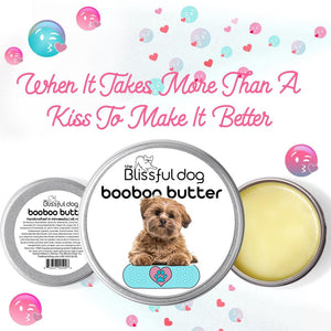 lhasa apso skin care