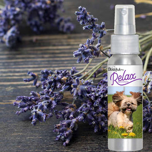 Lhasa Apso calming spray