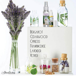 Maltese afraid storms