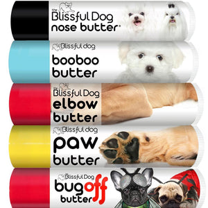 maltese dog skin care