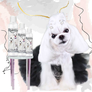 maltese rich bitch shampoo