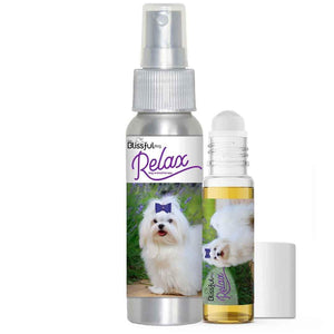 Maltese dog aromatherapy